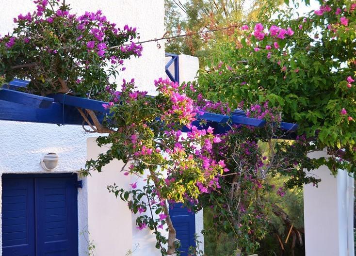 Syros Inn Galissas Exterior photo